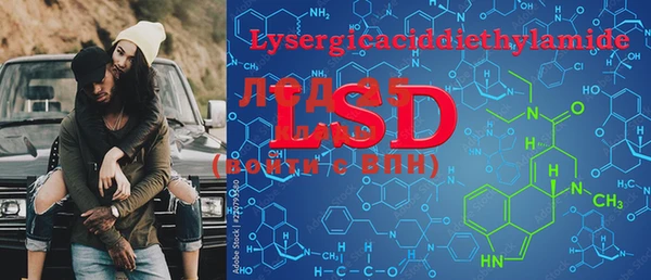 PSILOCYBIN Корсаков