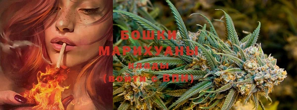 PSILOCYBIN Корсаков